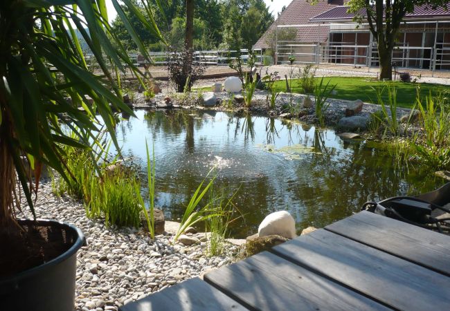 Gartenteich mit Bepflanzung